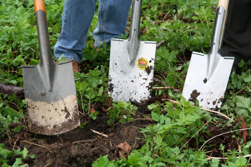 pepiniere-TENDE-min_work-lawn-flower-tool-green-backyard-1103633-pxhere.com